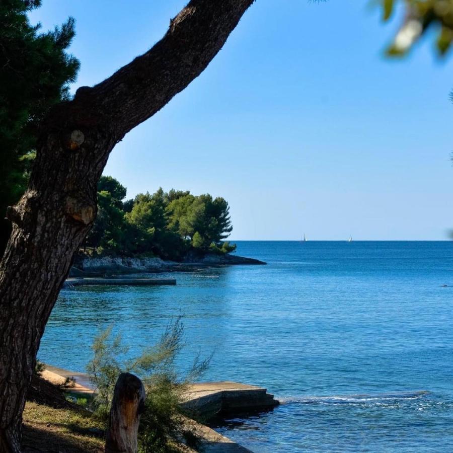 Puntizela-Patty Daire Pula Dış mekan fotoğraf