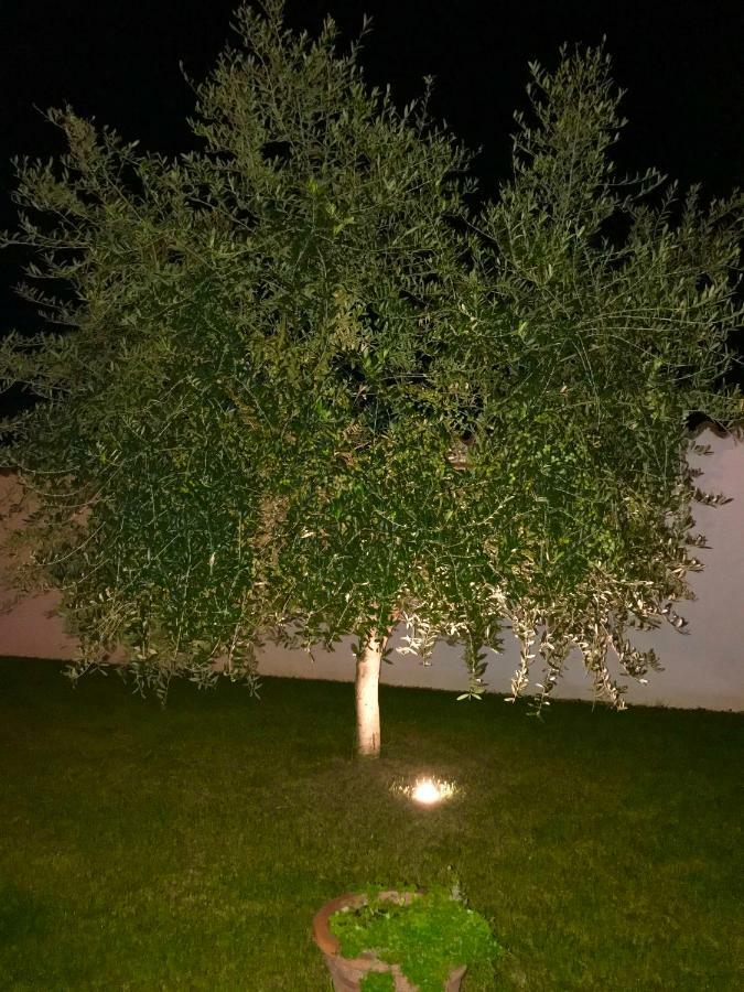 Puntizela-Patty Daire Pula Dış mekan fotoğraf